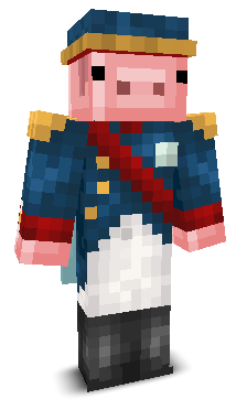 Nikn1k's skin