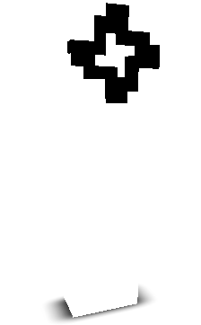 Stiirr's skin