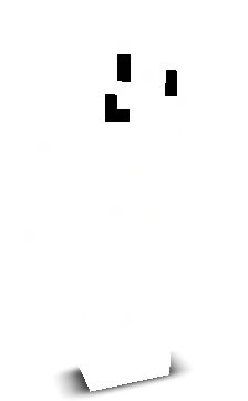 ZeGeom's skin