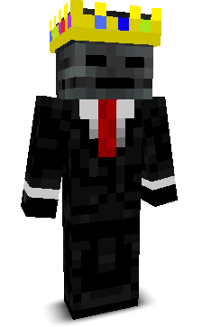 Ein_Lauch985's skin