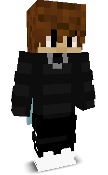 MrStrayJosh79's skin