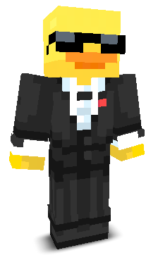 DuckyPl_'s skin
