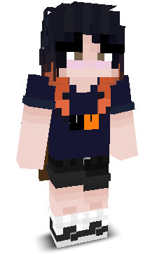 HeroTopraX's skin