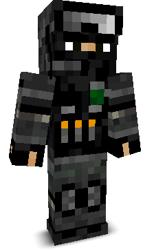 SvanFR's skin