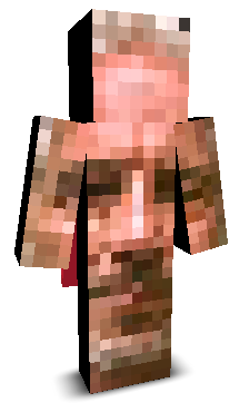 21x69's skin