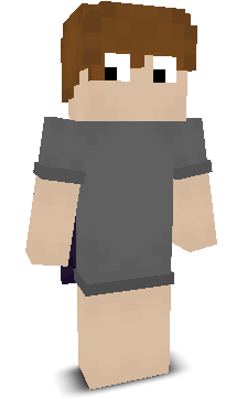 wzyl's skin