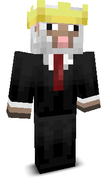 Sleiven13's skin