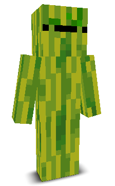 ArbuzikShok's skin
