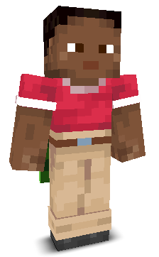 VictoryStreak's skin