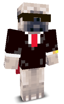 Pug_King's skin