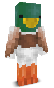 MaxiPlayzz22's skin