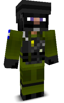 IDF_SOLIDER's skin