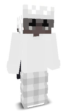 veylohin0's skin