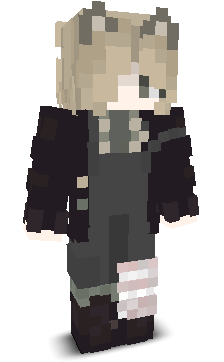 D4Y5H4D3's skin
