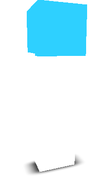 angussniffer's skin