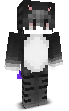 iCounnter's skin