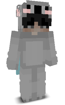 J1N1245's skin