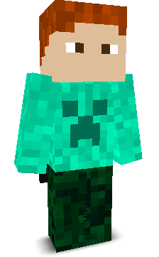 Program2015's skin