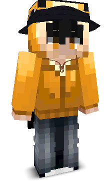 Sneinton's skin