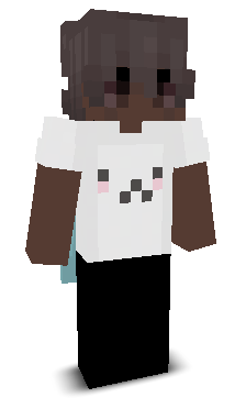 unanswerable's skin