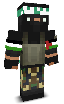 SkywardExplorer's skin