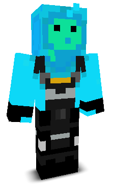 Rafficheck's skin