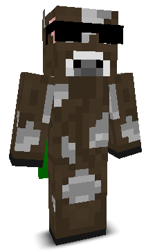 Lonixxs's skin