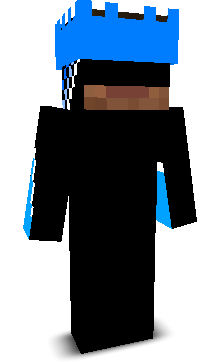 kingjr662121's skin