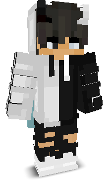 itz_NoneMC's skin