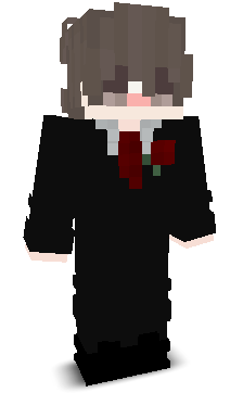 _S0cha_21's skin