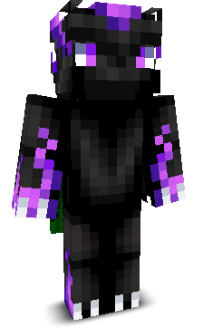 MrDragonKiller's skin