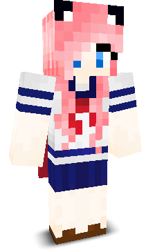 GOGOCRO's skin
