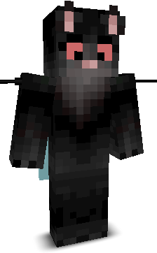 C_C213's skin