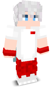 SkibidiLukasz11's skin