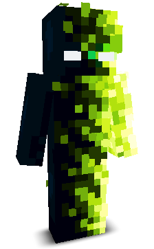 Tomanything's skin
