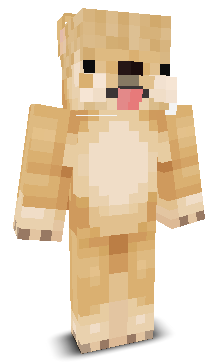 ShadxwArhxr's skin