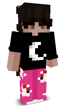 jnplgame's skin