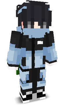 Sh4hdh1's skin