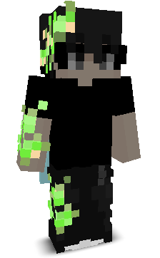 Vanadzor's skin
