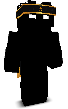 SWYPPA's skin