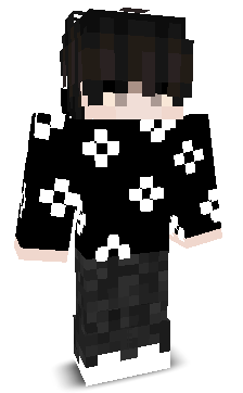 Ferry321's skin