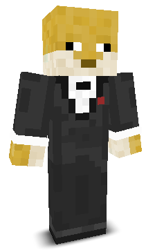 Ciewb's skin