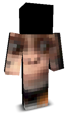 Mozzatm's skin