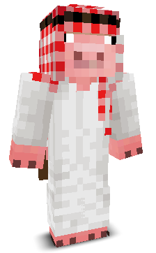 ExtremeInjector's skin