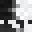 ImDashey's head