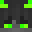 intion's head
