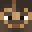 Virtualtip's head