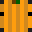 pumpkin_gr's head