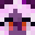TSCTLC's head