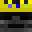 websitz's head